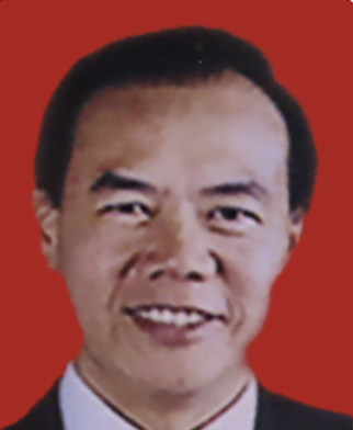 TEO CHONG TEE, JP - Permanent Honorary Advisor